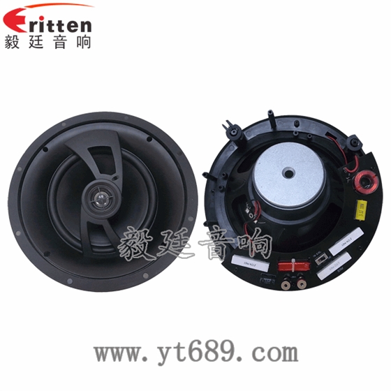 8''250w 重低音喇叭正反面