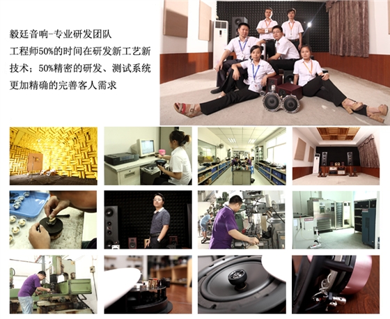 53mm8W20芯藍牙音箱喇叭