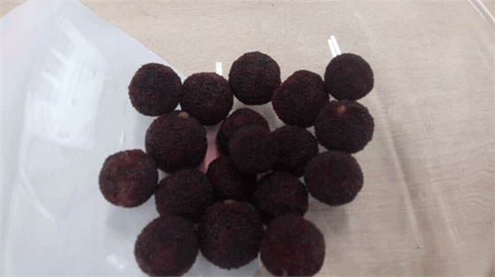 毅廷喇叭廠勇敢邁出第一步就是我們最大勝得 —牛商爭霸死黨互動學習共成長 毅廷喇叭廠勇敢邁出第一步就是我們最大勝得 —牛商爭霸死黨互動學習共成長