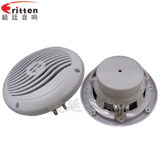 6.5寸游艇喇叭正反面 8''中低音舞臺音箱喇叭廠家正反面