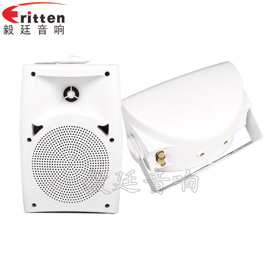 4寸掛壁音箱正反面 8''中低音舞臺(tái)音箱喇叭廠家正反面