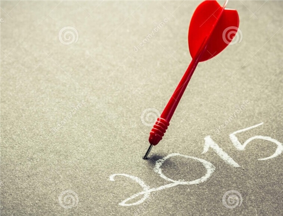 毅廷喇叭廠家2015目標 毅廷喇叭廠家2015目標