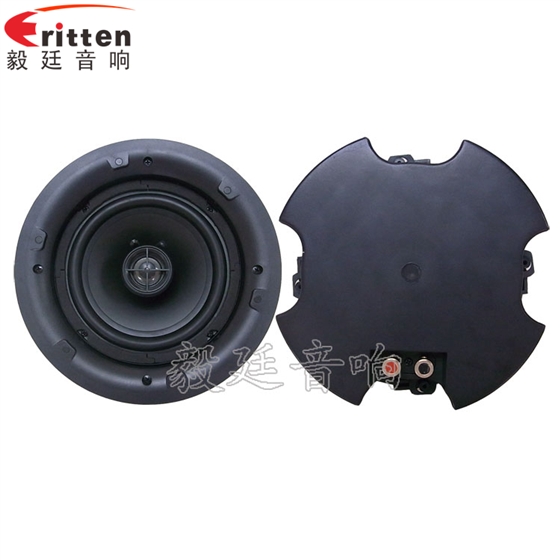 天花音響喇叭正反面 天花音響喇叭正反面