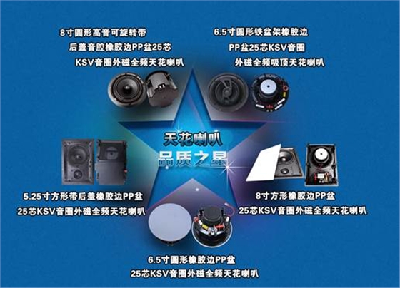 天花音響喇叭分類圖 天花音響喇叭分類圖