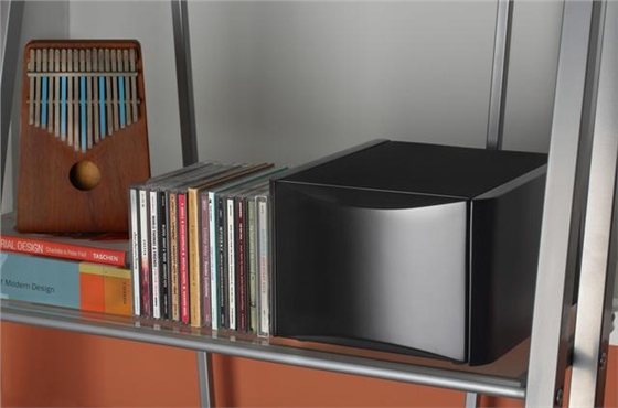 毅廷喇叭廠家 (7).jpg