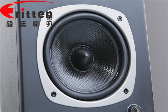 音響揚(yáng)聲器供應(yīng)商 音響揚(yáng)聲器供應(yīng)商