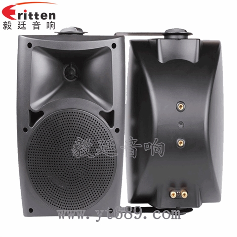 5.25寸2路壁掛音箱