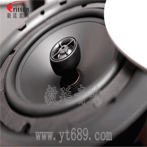 8寸天花吸頂喇叭