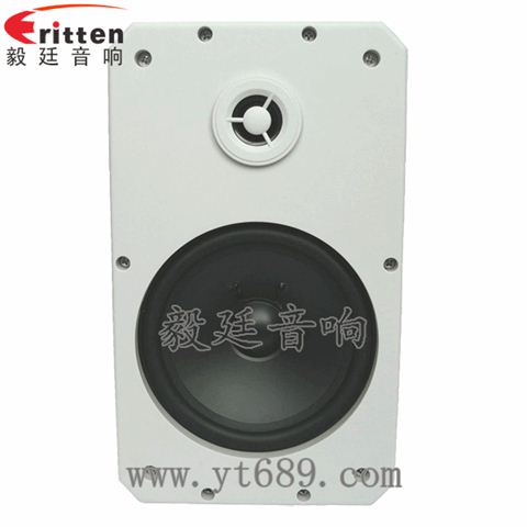 10寸20芯專業(yè)音箱喇叭