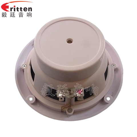 5寸輪船揚(yáng)聲器廠家