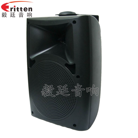 6.5寸墻壁音箱喇叭 6.5寸墻壁音箱喇叭