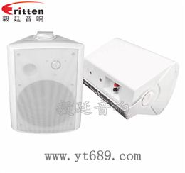 6.5寸2路墻壁音箱