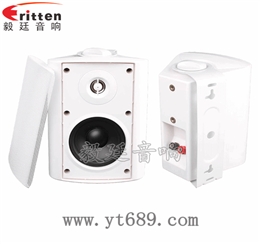 4寸25芯掛壁音箱喇叭