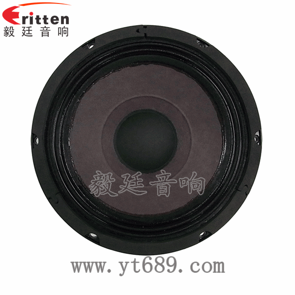 8寸中低音舞臺(tái)音箱喇叭廠家正面圖