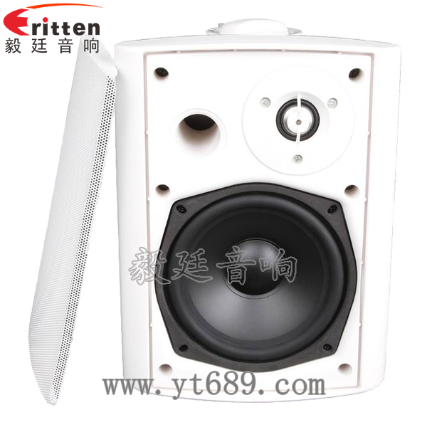 5.25寸2路全頻音箱正反面