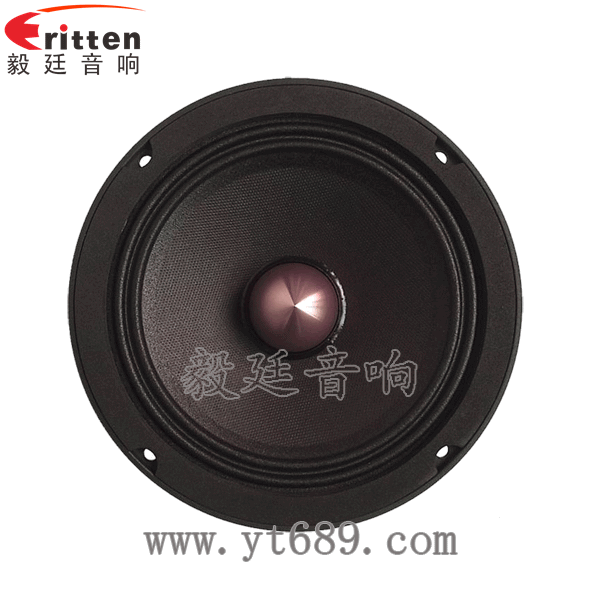 8''中低音舞臺(tái)音箱喇叭廠家正面圖