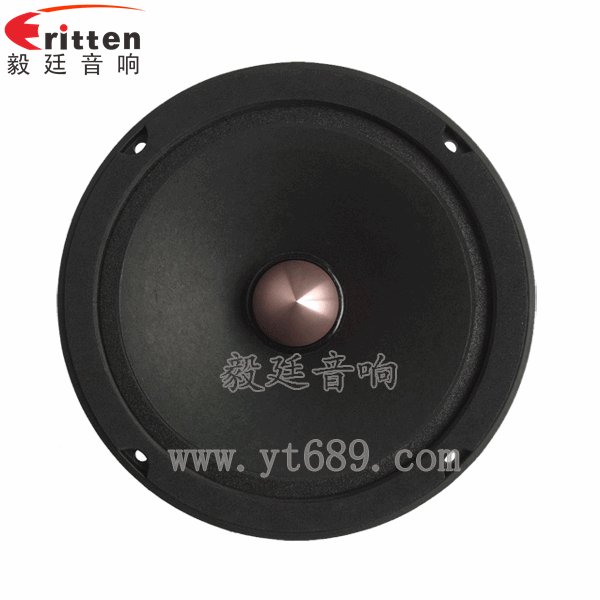 8''中低音舞臺音箱喇叭廠家正面圖