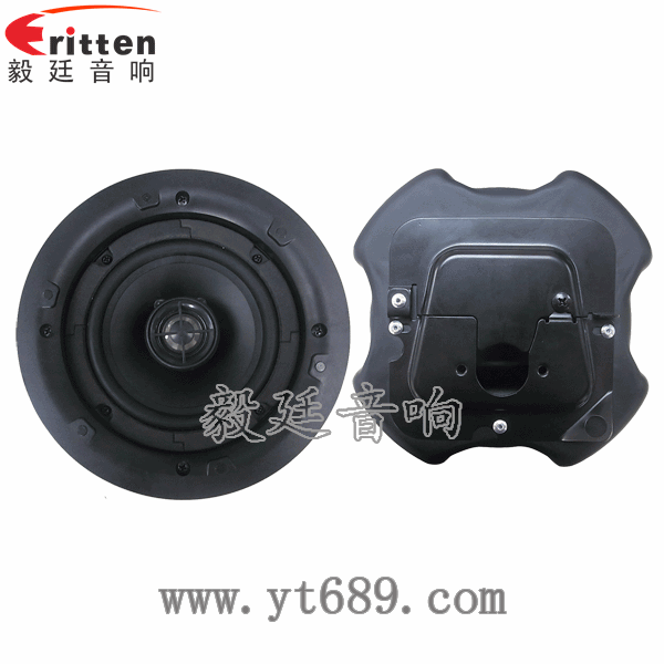 8''250w 重低音喇叭正反面