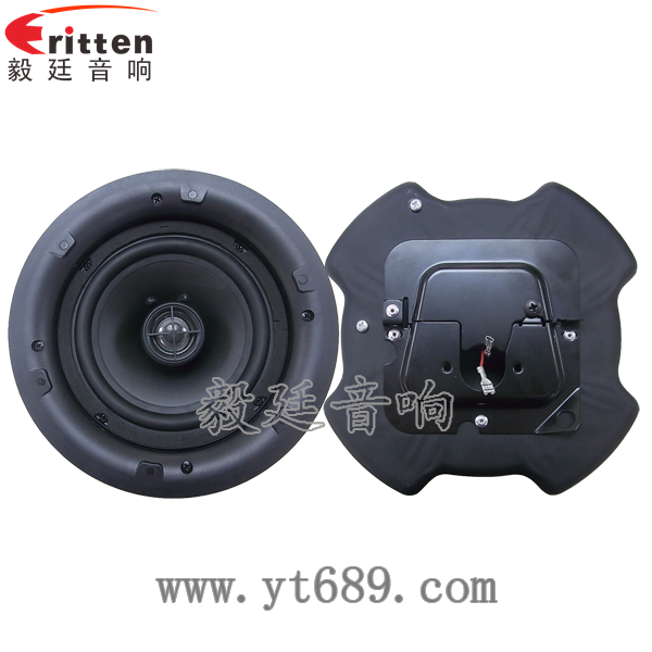 8''250w 重低音喇叭正反面