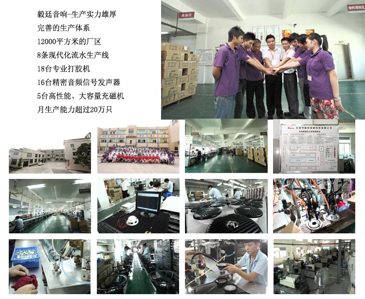 10寸300W汽車音響重低音喇叭 10寸300W汽車音響重低音喇叭