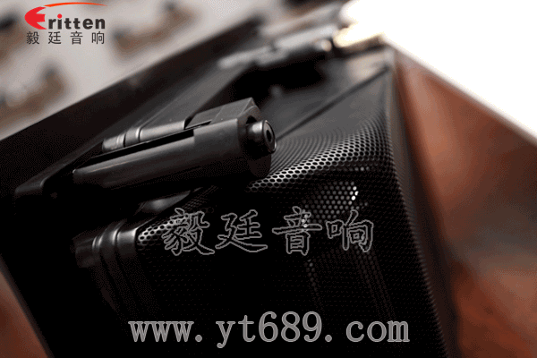 8''250w 重低音喇叭正反面