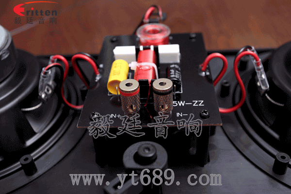 8''250w 重低音喇叭正面圖