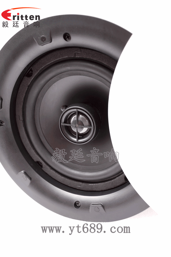 8''250w 重低音喇叭正面圖