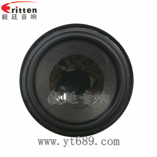 4寸同軸汽車音響喇叭正面圖