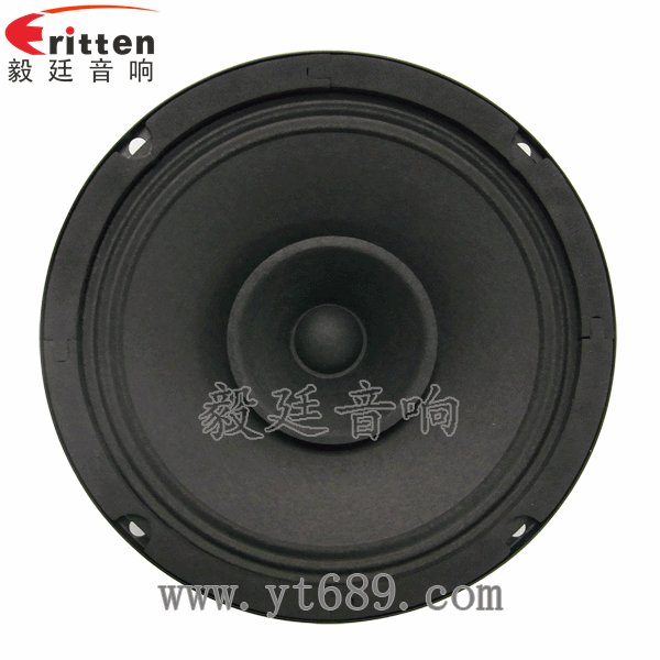 78mm15w內(nèi)磁全頻喇叭正面