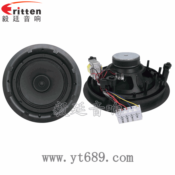 8寸25芯20瓦全頻喇叭正反面 58mm20芯8瓦內磁全頻喇叭正反面