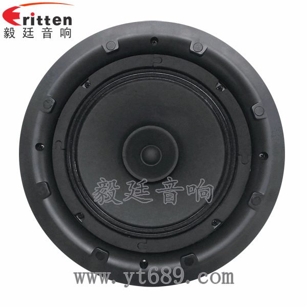 58mm20芯8瓦內磁全頻喇叭正面圖