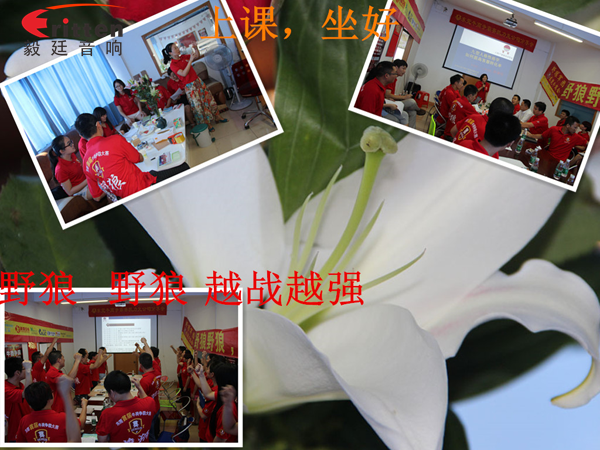 毅廷喇叭廠參與跟著野狼越戰(zhàn)越強(qiáng),金光閃閃的錢(qián)阿~錢(qián) 毅廷喇叭廠參與跟著野狼越戰(zhàn)越強(qiáng),金光閃閃的錢(qián)阿~錢(qián)