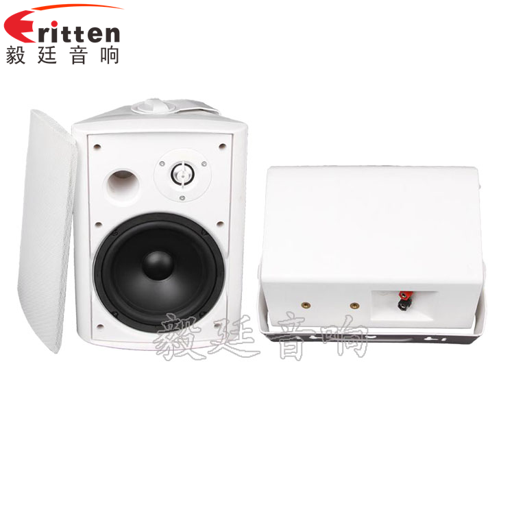 8''中低音舞臺(tái)音箱喇叭廠家正反面