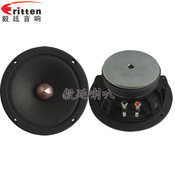 正反面.png 8''中低音舞臺音箱喇叭廠家正反面