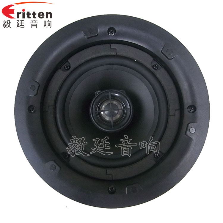 8''250w 重低音喇叭正面圖