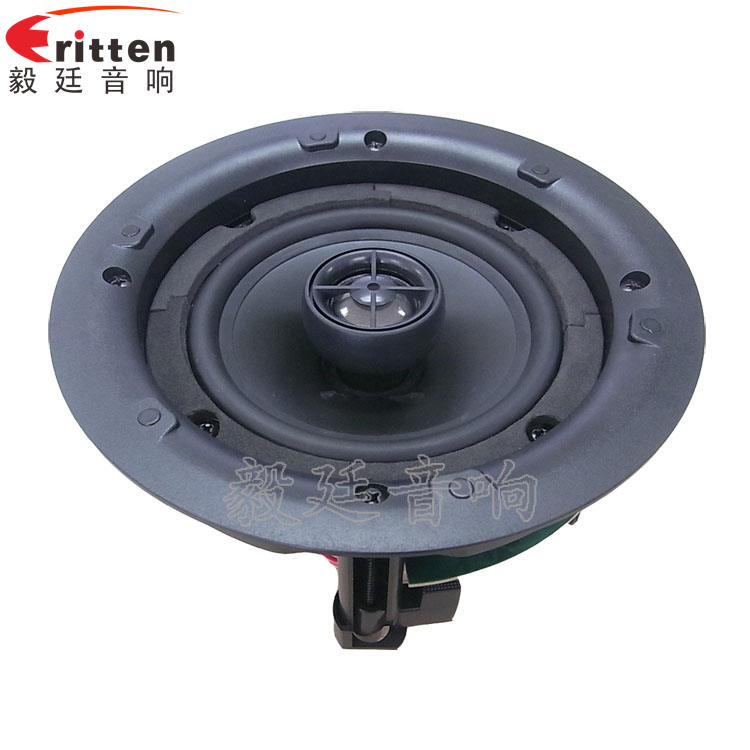 8''250w 重低音喇叭正面圖