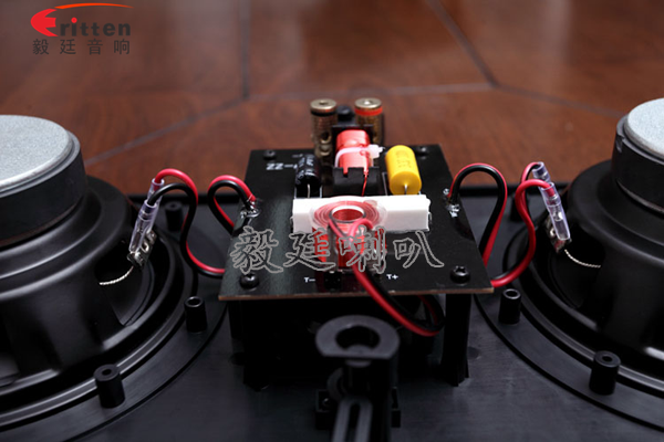 8''250w 重低音喇叭正面圖