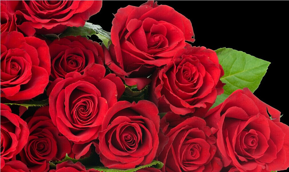 喇叭廠家 喇叭廠家