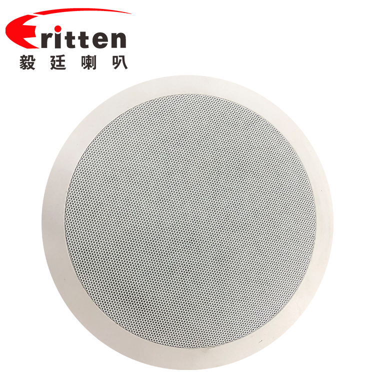 6.5寸(238mm)8歐30w斜面板天花喇叭 6.5寸(238mm)8歐30w斜面板天花喇叭