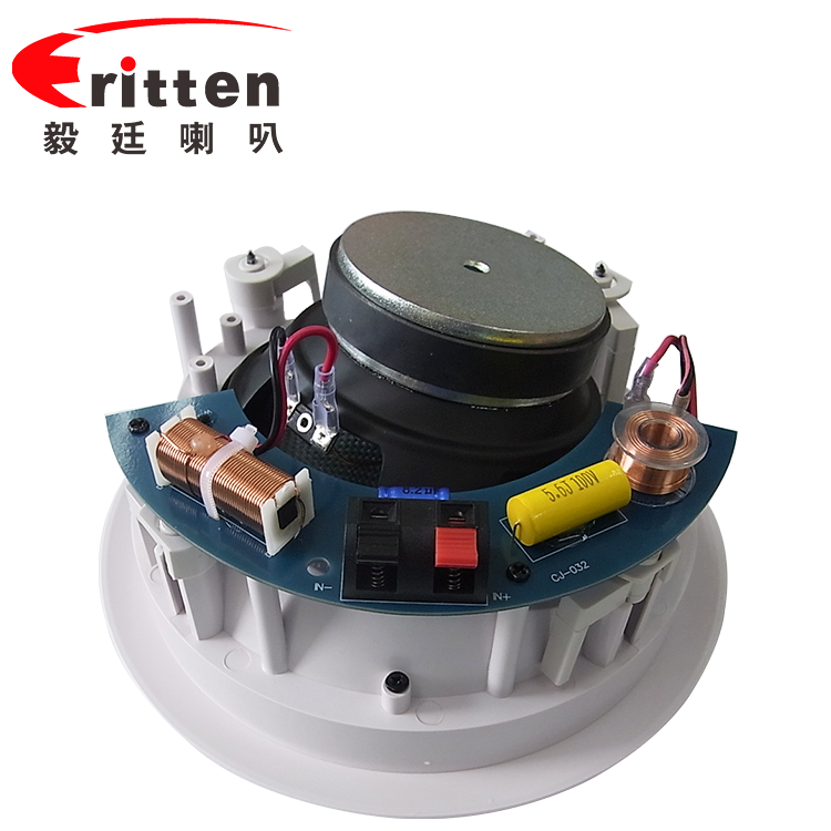 6.5寸(238mm)8歐30w斜面板天花喇叭 6.5寸(238mm)8歐30w斜面板天花喇叭