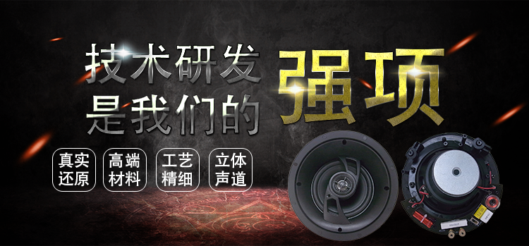 6.5寸吸頂式天花喇叭 6.5寸吸頂式天花喇叭