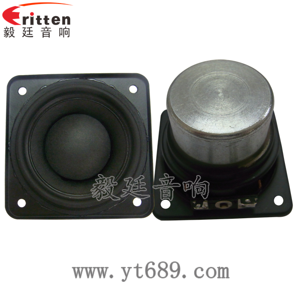 2.25寸20芯10瓦藍(lán)牙全頻喇叭